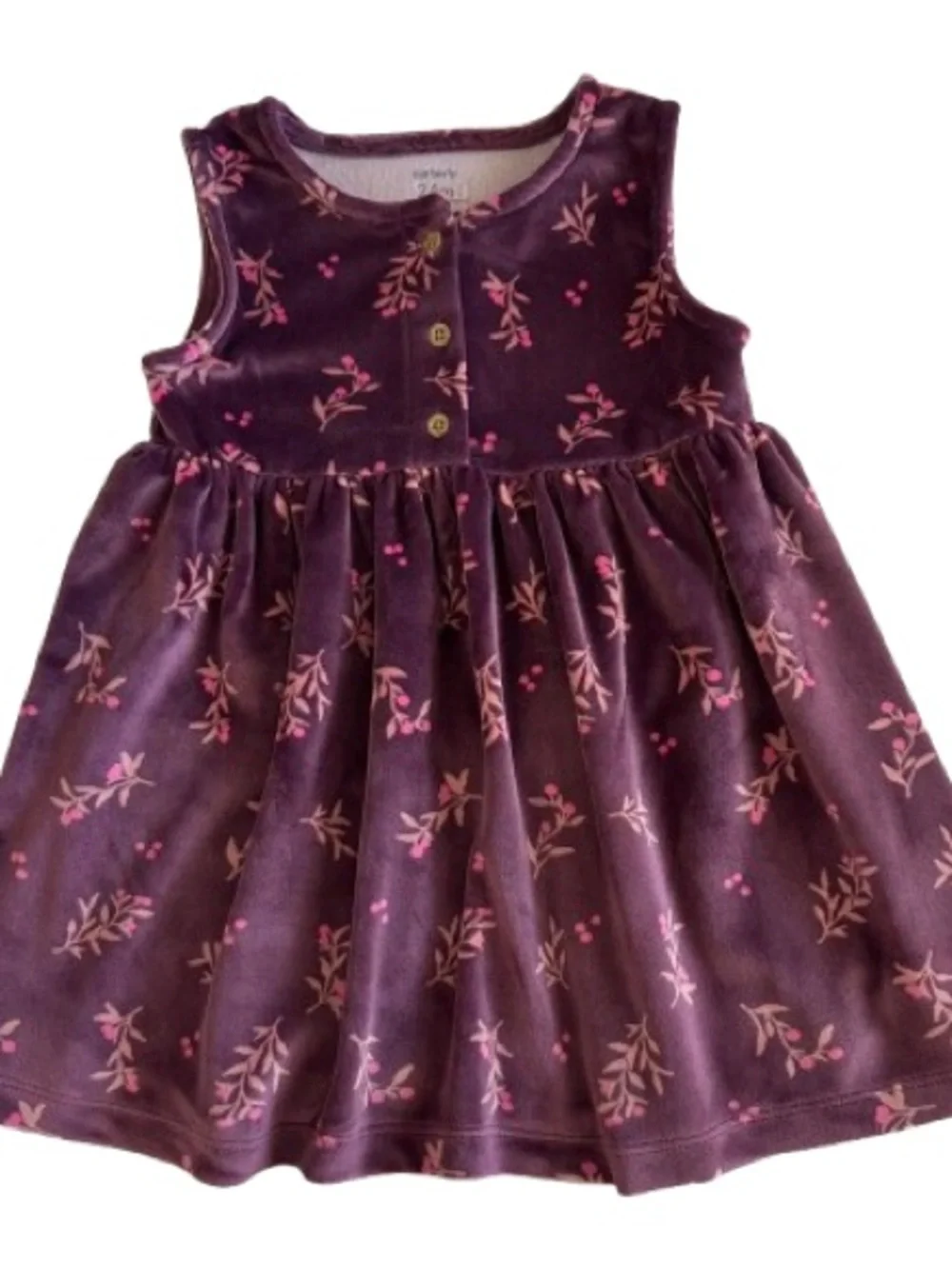 Carter's Girl' 24m Plum & Pink Floral Print Velvet Sleeveless Dress & Round Neck